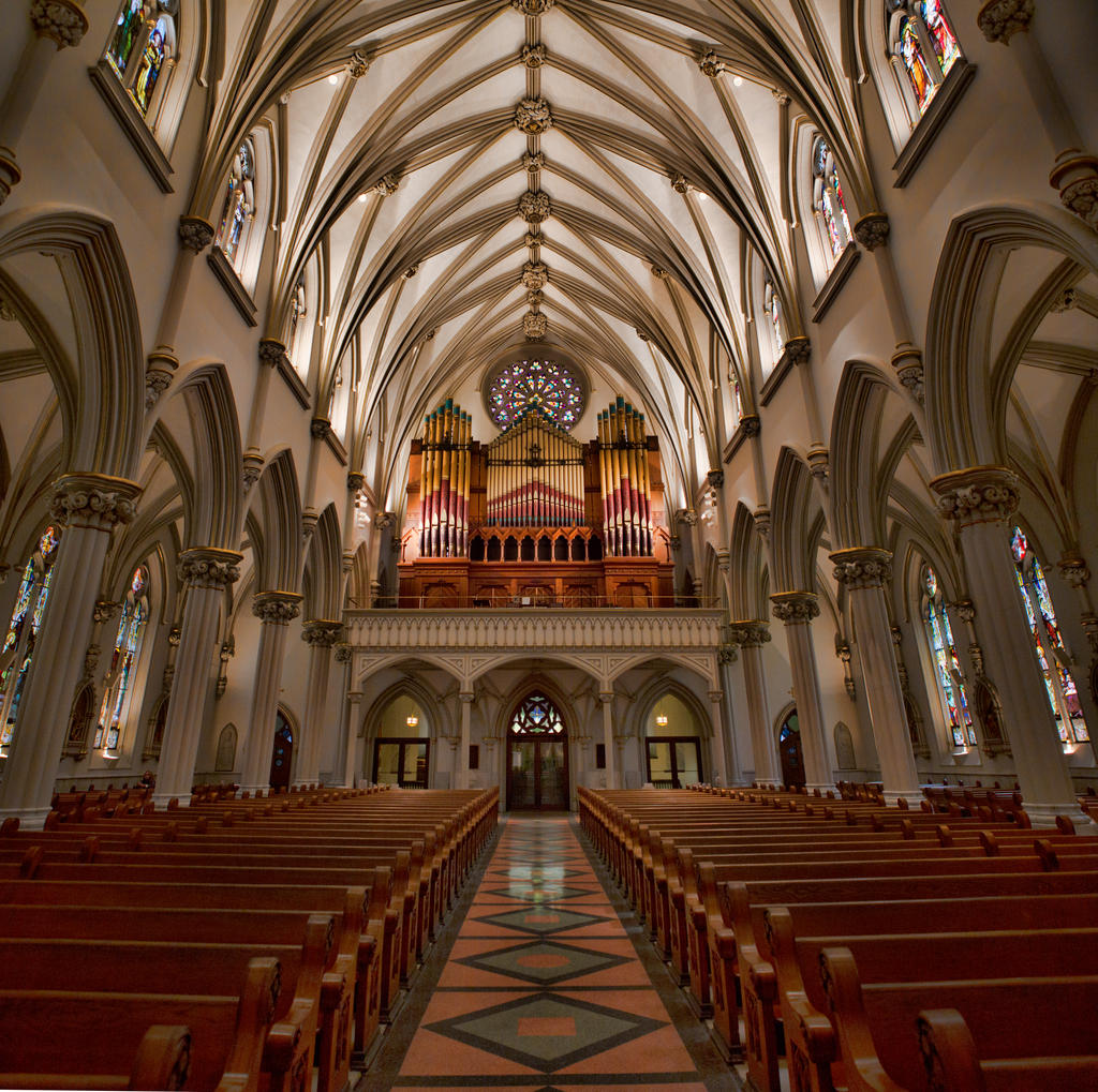 Cathedral Organ by TomFawls