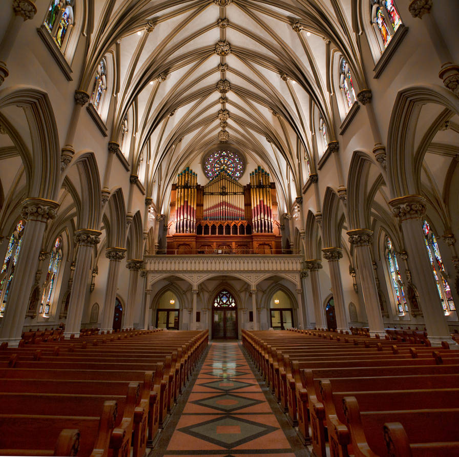 Cathedral Organ by TomFawls