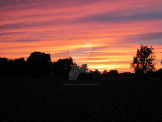 Sunset over the potatoes