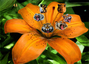 Tiger Lily