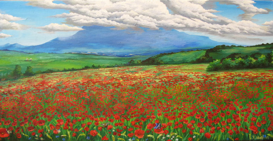 Poppy field by Kaitana Poppy field by Kaitana