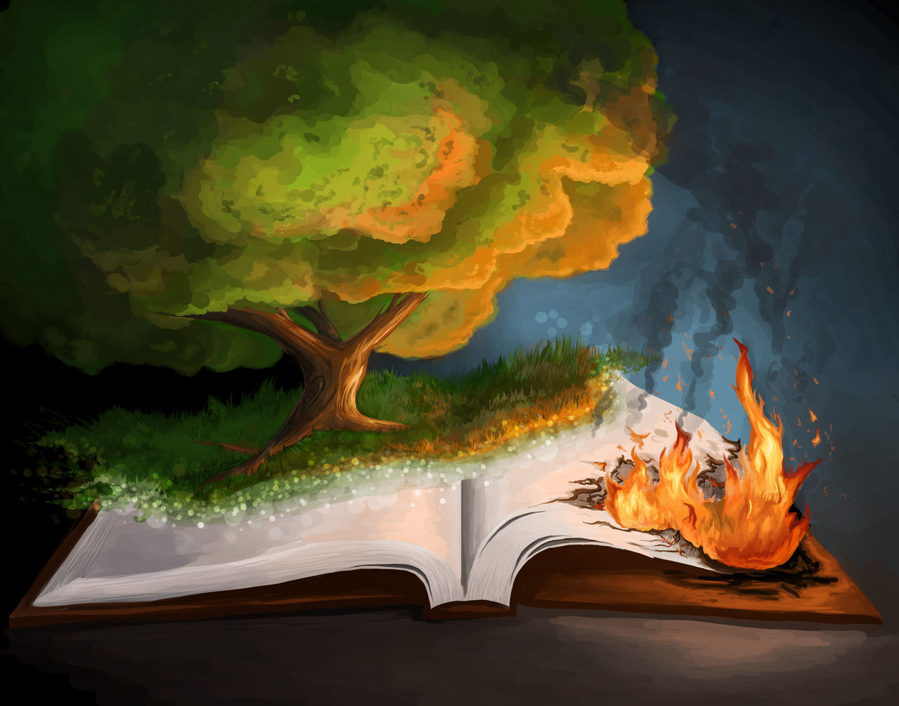 Book Burnings 2025
