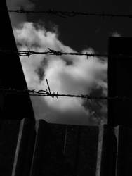 barbed wire