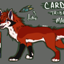 Cardinal Reference Sheet 2013