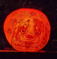 Otter Pumpkin