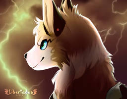 Thunderstorm