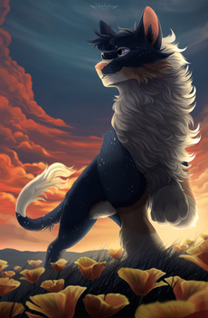 Dawn of Spring
