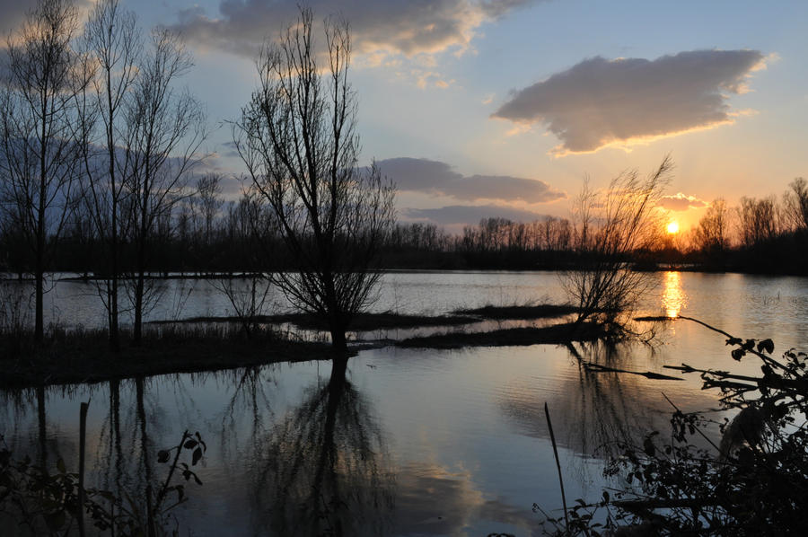 Sleeping Marsh