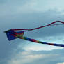 Kite