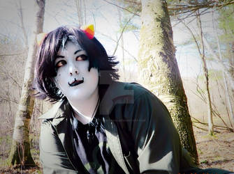 Nepeta (homestuck) 2