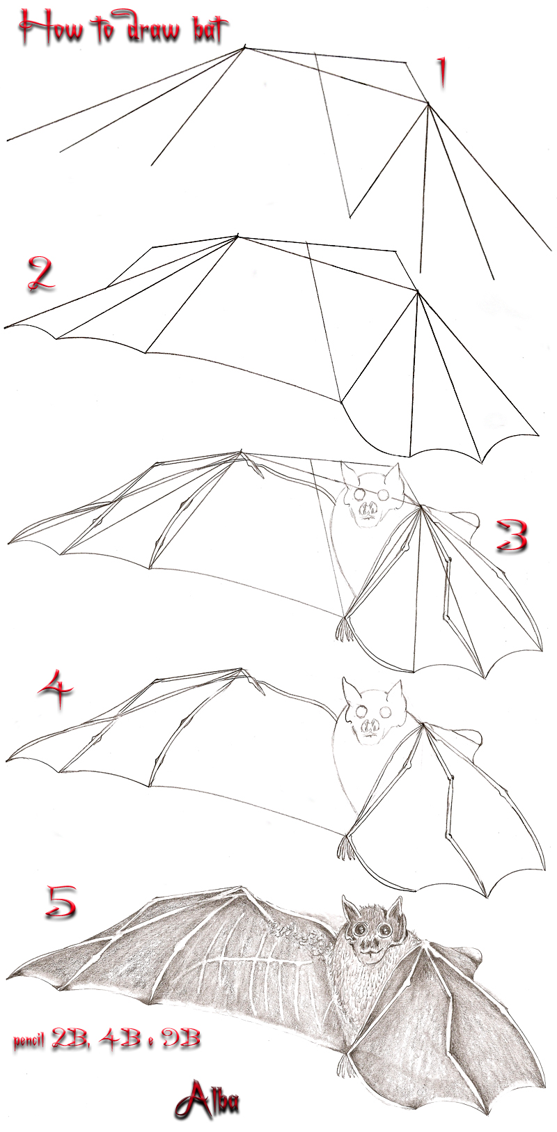 Tutorial draw bat