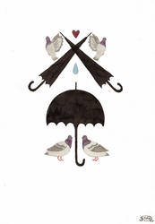 Umbrellas 4
