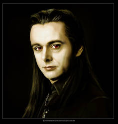 Aro