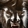 The Wolf Man