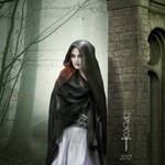 From the Shadows by vampirekingdom