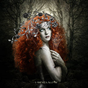 The lady of the black forest by vampirekingdom