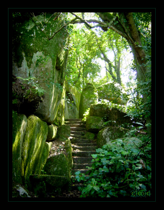 The Green Path