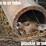 im in your tube...