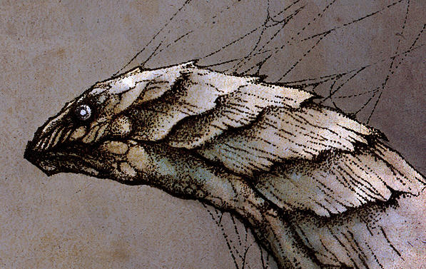 Skvadron Creature Creature by Skia on DeviantArt