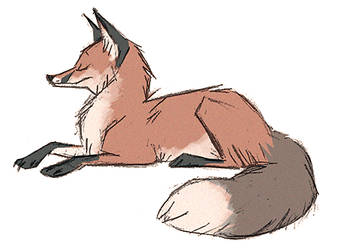 Fox