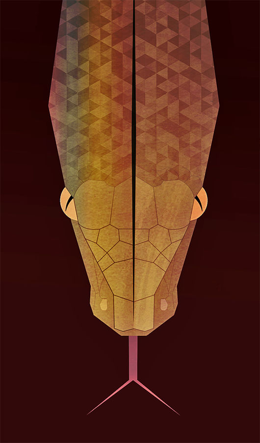 Reticulated Python by Skia on DeviantArt