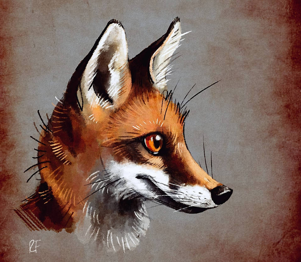 Deviantart Foxa Fox by Skia on DeviantArt