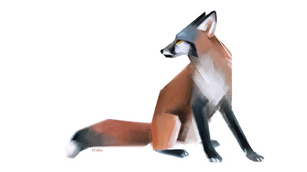 Vulpes sparverius