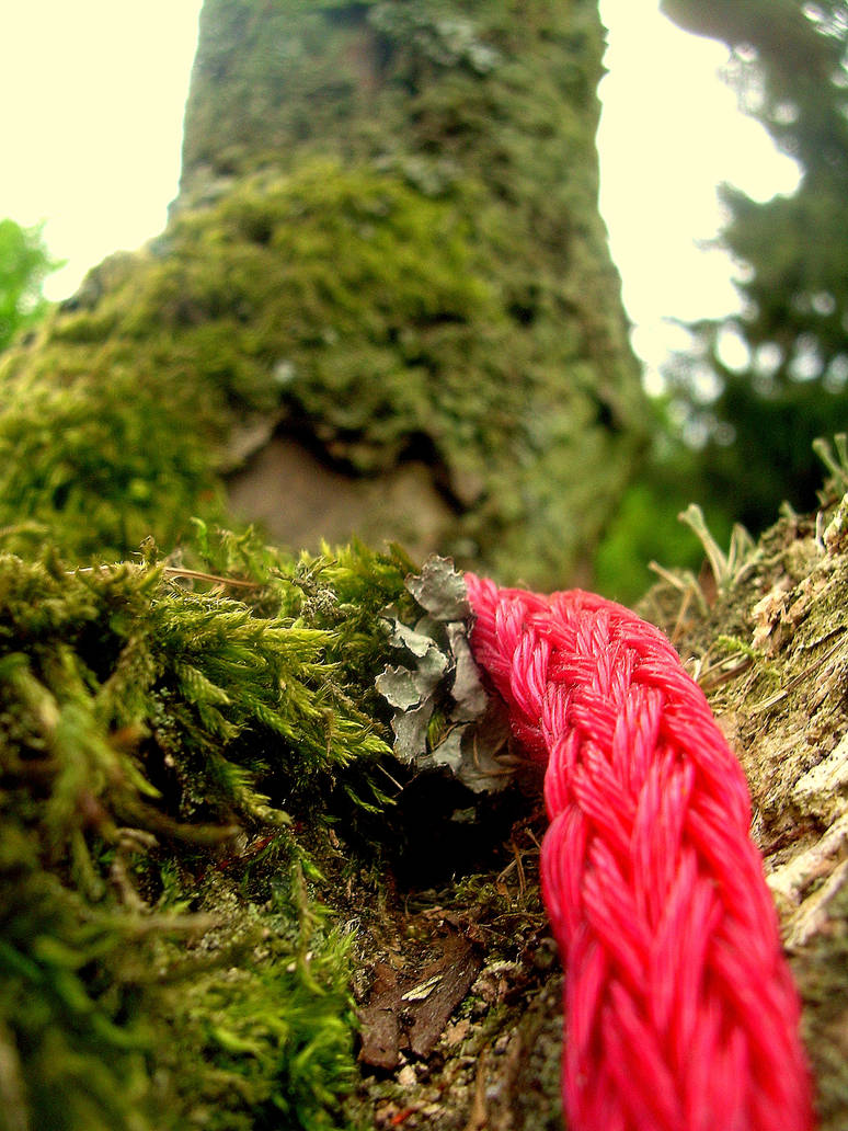 The Red Rope. by NikolasBrummer on DeviantArt