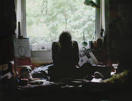 circumambient: the over-whelming life