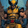 Wolverine