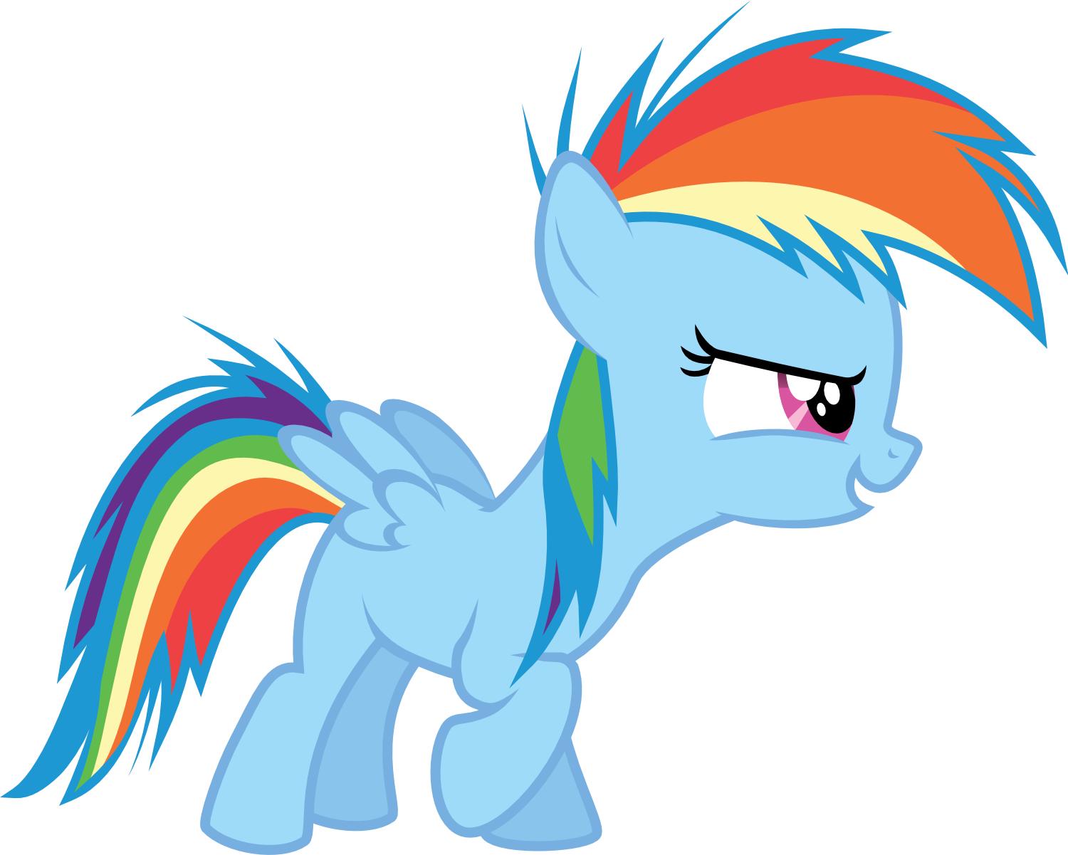 Rainbow Dash filly