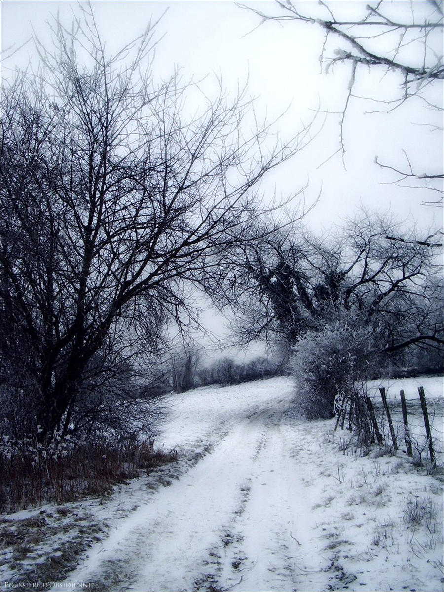 Emotional Winter I by PoussiereObsidienne