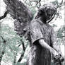 Angel of the cemetery