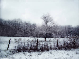 Hivernal by PoussiereObsidienne