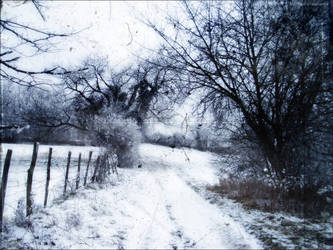Emotional Winter II by PoussiereObsidienne