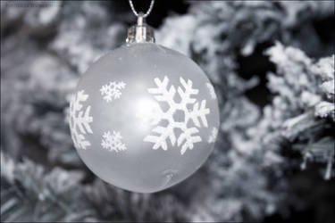 Blanc comme Neige by PoussiereObsidienne