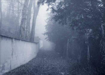 Chemin de Brume by PoussiereObsidienne