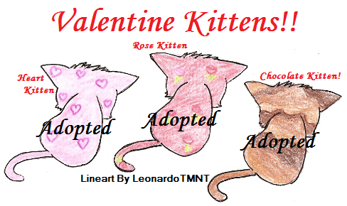 Adopt Valentine Kitten-CLOSED-