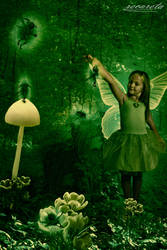 Forest Fairy