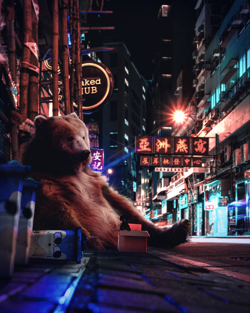 Bearded Homeless Deviantart Homeless Bear and his BFF by vesigns on DeviantArt