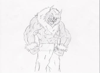 Shadow The Werewolf V.3