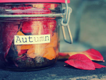 Essence of autumn