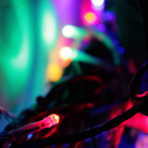 Christmas lights