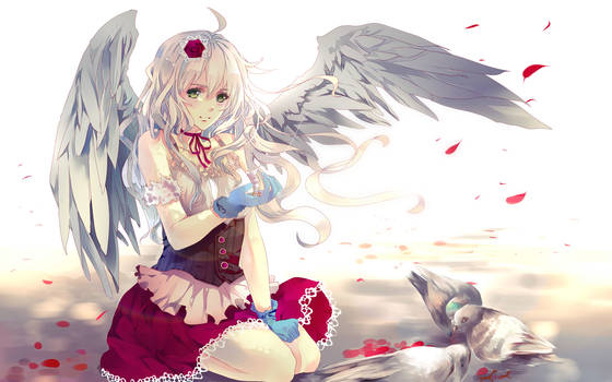 24316-anime-paradise-anime-angel