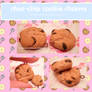 choc-chip cookies