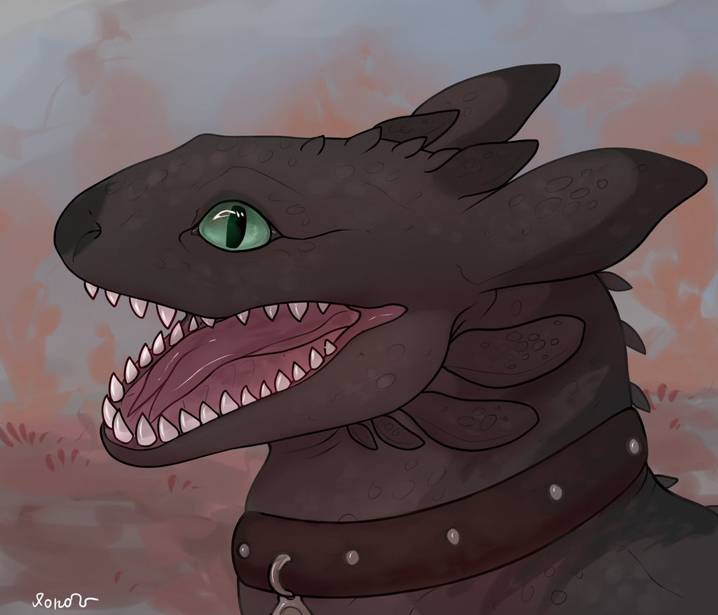 Finished HTTYD YCH by Akodara on DeviantArt