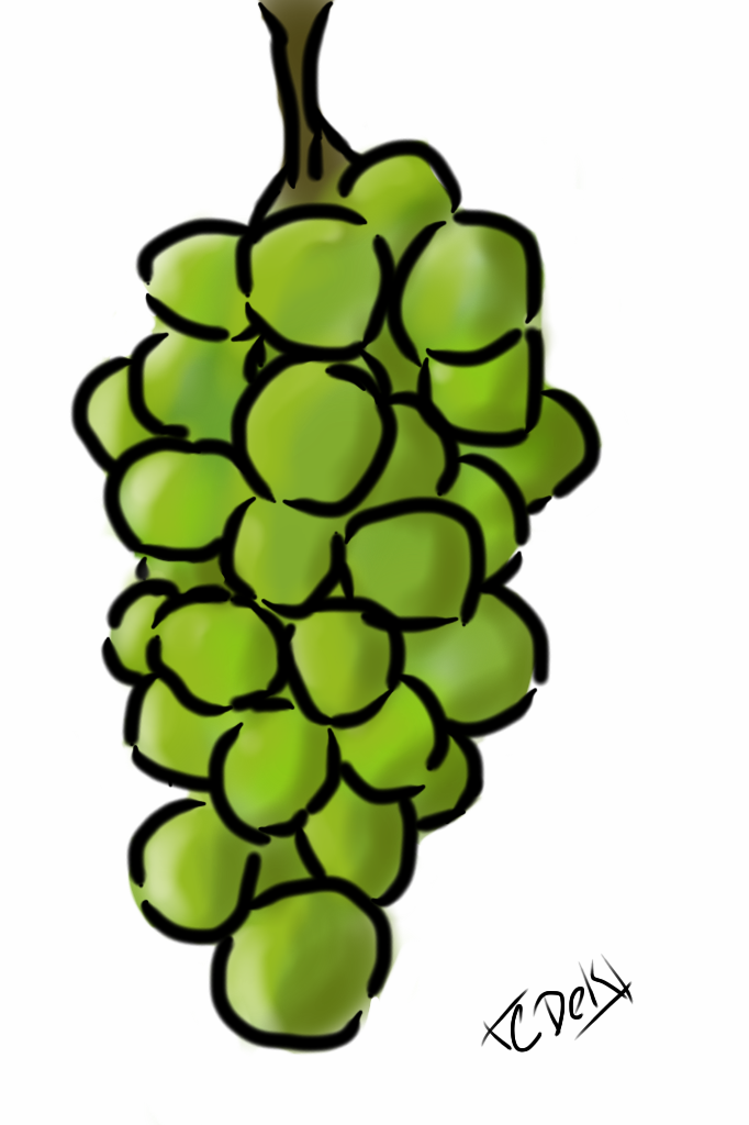 Grapes By Ecofriendly On Deviantart Grapes By Ecofriendly On Deviantart