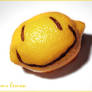 mr lemon