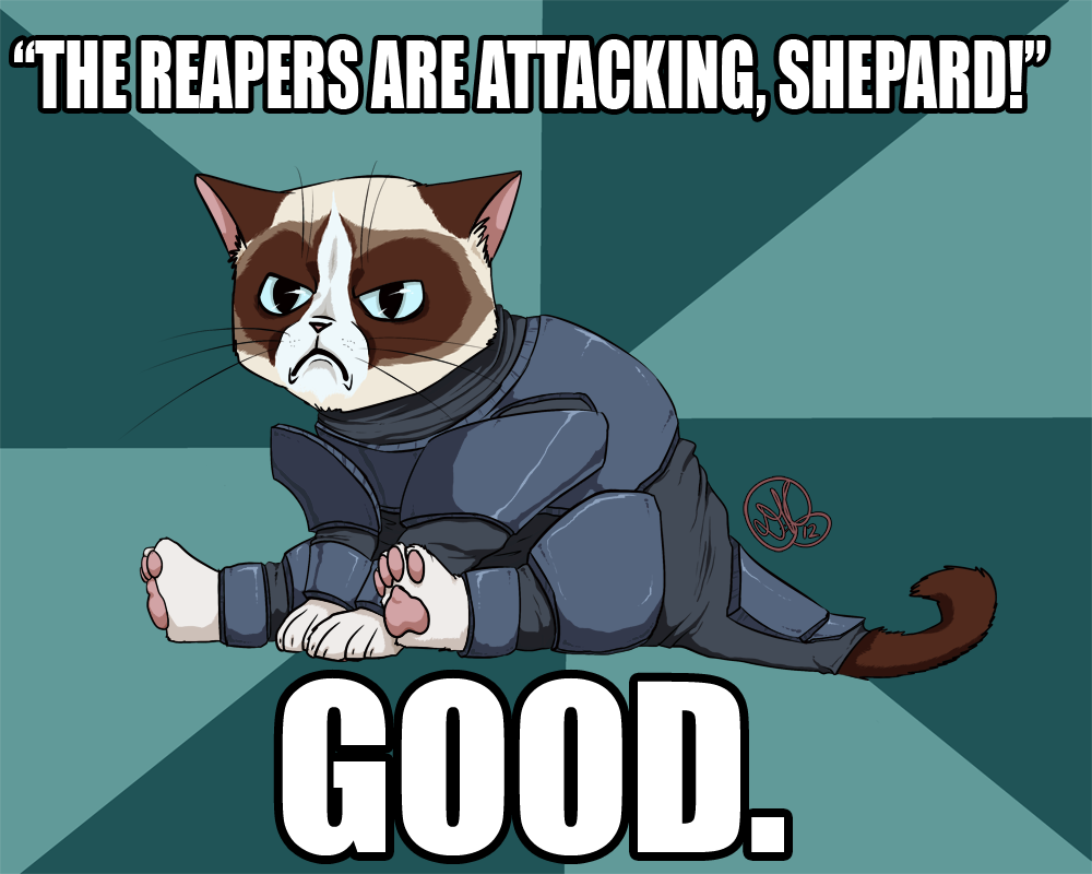 Commander Grumpy by Dezfezable on DeviantArt