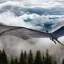 Dragon Flying Over Misty Forest